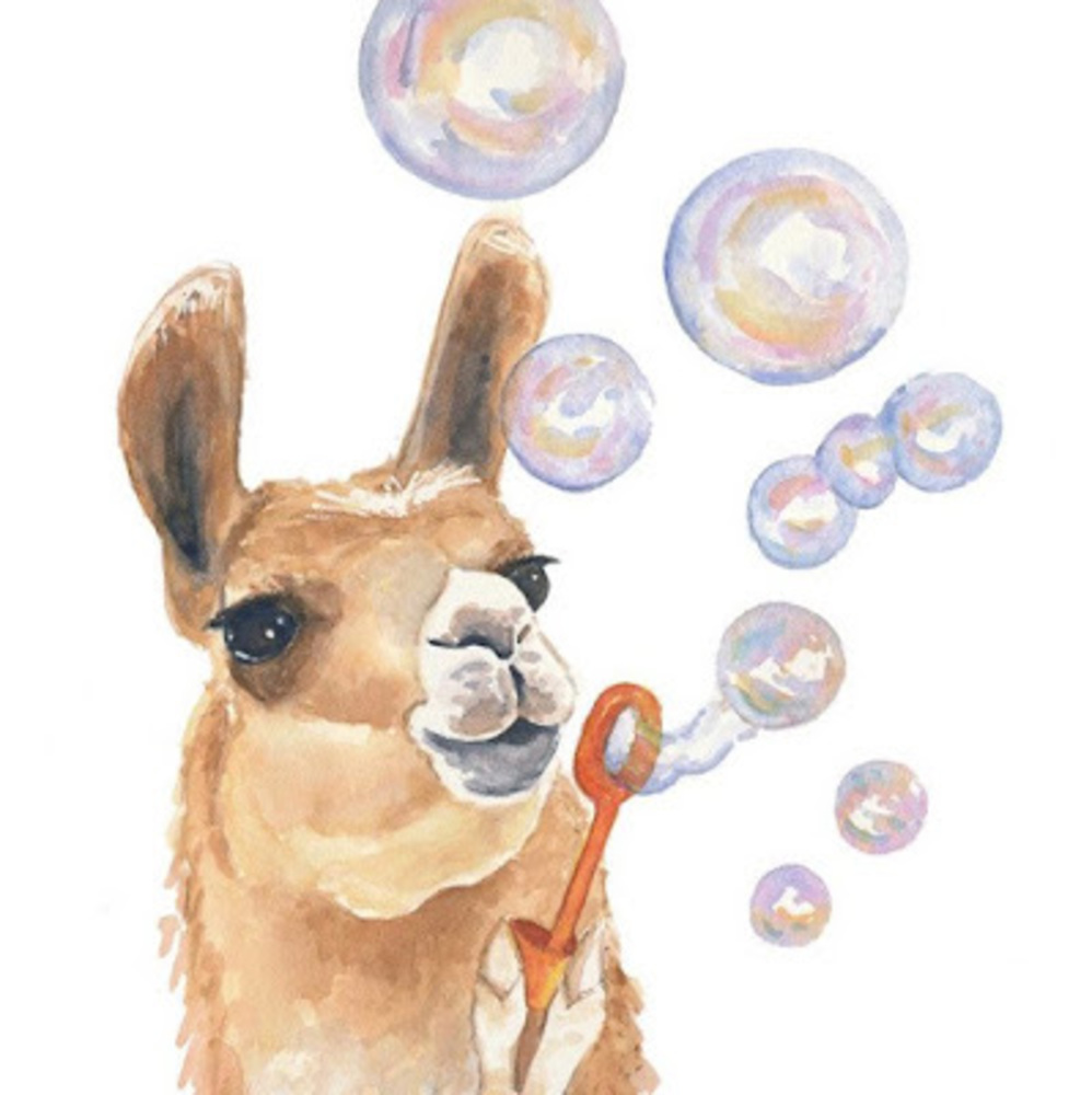 Meet your Posher, Marie